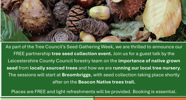 Poster for a Leicestershire County Council Tree Seed Collection Event on Sat, 3 Oct 2026. Includes session times, locations, contact details, and images of acorns and seeds. Event details and partner logos are shown.